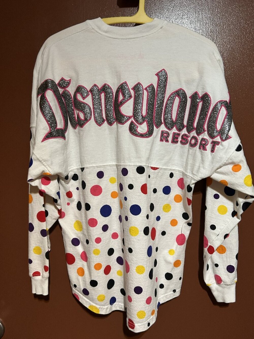 DisneyLand Resort Longsleeve top